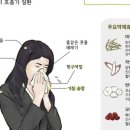 소청한의원 네이버블로그
