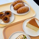 위즈덤카페