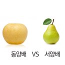 오늘은과일 - 서구 문정로112번안길 18 | 오늘은과일