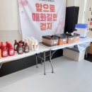 매화태권도