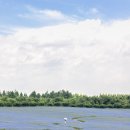 구도목장 이미지