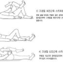 ﻿﻿허리 디스크에 좋은 운동법 이미지