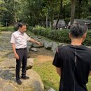 그린웨이 이미지