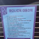 레오나르독 이미지