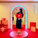 월드 합기도 | 2025 회고 나만의 속도로 완성한 세계지도