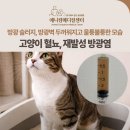 메디컬센터 | 고양이 혈뇨, 재발성 방광염 치료 후기, 애니컴메디컬센터