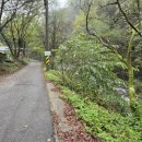 포레스트펜션 | [원주] 힐링포레스트 펜션 후기