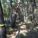 여강길(10-1코스 싸리산길) 이미지