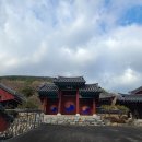 유림-1139 이미지