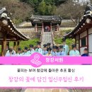 일신우일신 | [살아숨쉬는 향교·서원]꽃피는 부여 창강에 돌아온 추포황신_창강의 꽃에 담긴 일신우일신 (3회차 후기)