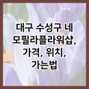 네모필라플라워샵