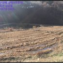 아영면 아곡마을 이미지