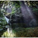 계곡의아침 이미지