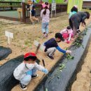 연라초등학교 이미지