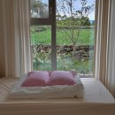 플랜티풀랜드 이미지