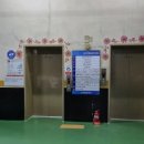 힐링족욕테라피 | 내손동테라피 찾다가 다녀온 다낭! 엄마랑 원적외선 테라피 & 신비한 족욕 힐링 후기