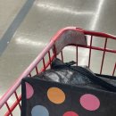 견생일기 이미지