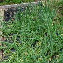 역전농약사 이미지