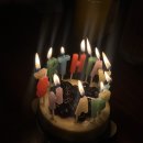 빛봄
