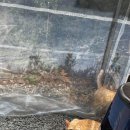 초원랜드 이미지