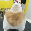 엠에스그루밍 이미지