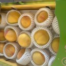 이언농장 이미지