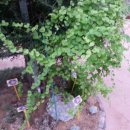 농업기술센터(농업전시관) 이미지