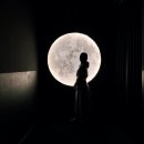 코끼리를삼킨보아 | 겨울 여수 여행 코스 녹테마레 할인 내돈내산 실내 데이트 핫플 명소