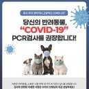주노축산