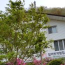 하얀민박 이미지