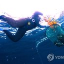 해녀 이미지