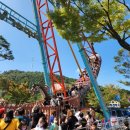 숲 태권도장 이미지