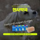 천사동물약국 이미지