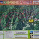 치악산둘레길 8코스 거북바우길 이미지