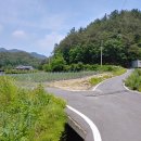 서동리경로당 Daum카페