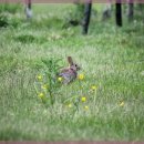 강남한의원 이미지