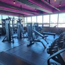 머슬팩토리24 경상대점 이미지