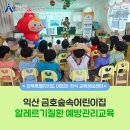 금호숲속어린이집
