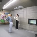 화이트아떼