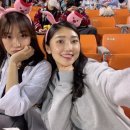 키움참치 이미지