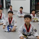 라이온태권도 이미지