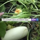 자라는 씨앗 이미지