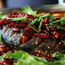 사천향어
