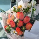 NR-47[서해로]-하-1 | 봄이 오기전에 2월 일상기록