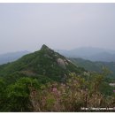 독천농협 앞 | 흑석지맥구간종주