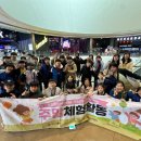 토당 이미지