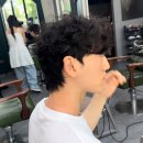 프링프링 | 프링프링 , 농성동 프링펌