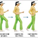 [걷기종합] 걷기 운동 다이어트의 모든것 이미지