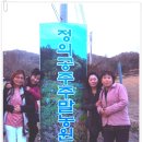 김정자농장 이미지