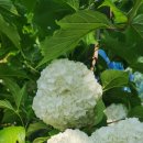 월정농원 민박 이미지